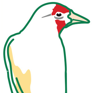 Ornitalia's profile picture. Ornitalia è una moderna e dinamica azienda italiana che offre prodotti e consulenza per l'allevamento degli uccelli.