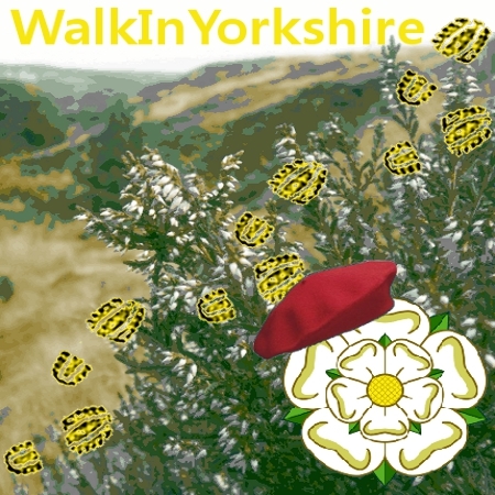 A blog by a Frenchman walking in Yorkshire; walks & info about Yorkshire in #English & #French. Enjoy! https://t.co/R9uZeyv76d
Also Webmaster @BingleyWaW