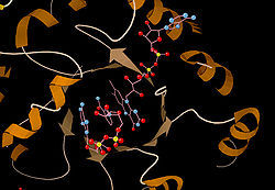 Info about the rare genetic defect.