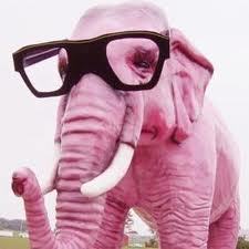 The Pink Elephants