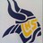 lhs_volleyball's profile image