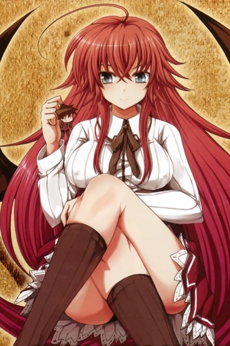 My name is Rias Gremory a devil in the Gremory Clan. I'm a third-year student at Kuoh Academy and Buchou of the  Occult Research Club