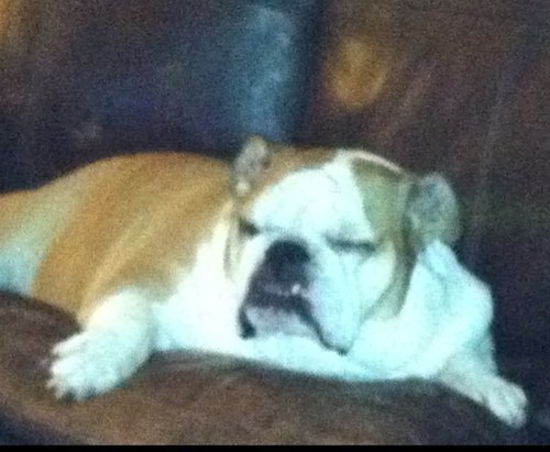 kdol813's profile picture. 