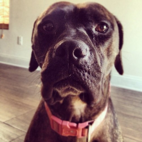 jimmymacx2001's profile picture. 