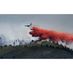 Colorado Fires (@cofires) Twitter profile photo