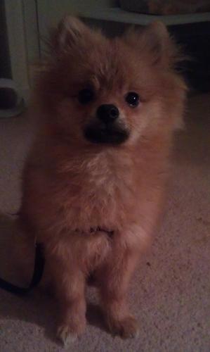 AshleyP_inNYC's profile picture. I don't patronize bunny rabbits.
Unpopular opinions on popular culture. Curmudgeon 4 lyfe.