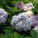 Lori Velasco - @lorivelascocb - Twitter