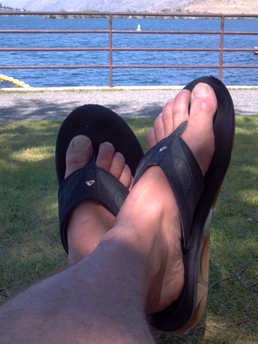 FireworksCrew's profile picture. 