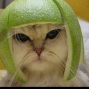 Tim McAuley - @HouseKat1 - Twitter