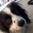 antonio leone - @mm_leone - Twitter