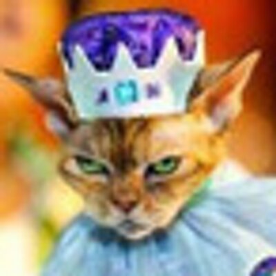 Profile Picture of Katrina McIntosh Bradley (@yyckatsmeow) on Twitter