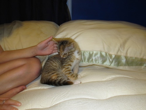 alyssaskylindse's profile picture. Hi Im Alyssa. Really cool. Follow me!