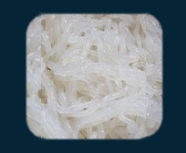 ShiratakiNudeln's profile picture. 