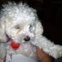 Sara riggio - @sarasmoochie - Twitter