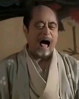 将軍職は徳川【西田】秀忠(浜ちゃん)に譲り、大御所となって江戸から駿府に隠居中。大和建設も黒川君と金太郎に任せ、名ばかりの会長じゃ……最近、秀忠が釣りバカの浜ちゃんにしか見えない、日本大好き、たかじんのそこまで言って委員会が大好きな家康じゃ！！