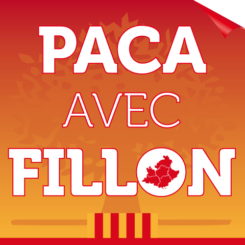 Rassemblement des comités de soutien départementaux de @FrancoisFillon en #PACA pour le Congrès de l'#UMP des 18 et 25 novembre 2012. #Fillon #TeamFillon
