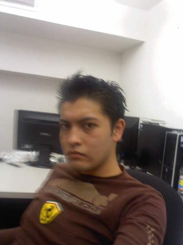 Web Application Developer