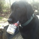 Alan Branson - @jbranson6351 - Twitter