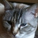 Neil Boynton - @NeilboyntonNeil - Twitter