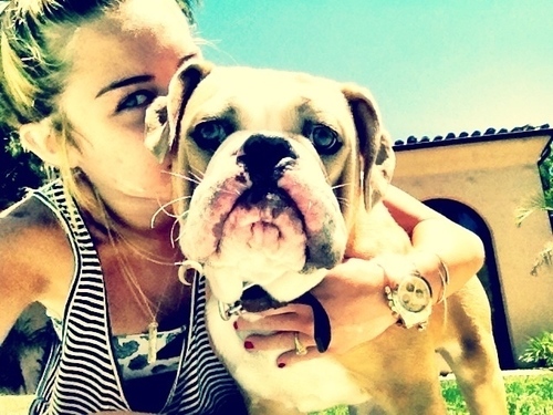 Amo a Miley Cyrus, Algum problelma?? I love you ♥