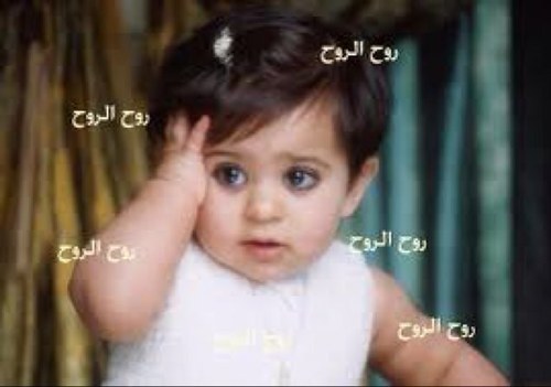 feaslazbny's profile picture. 