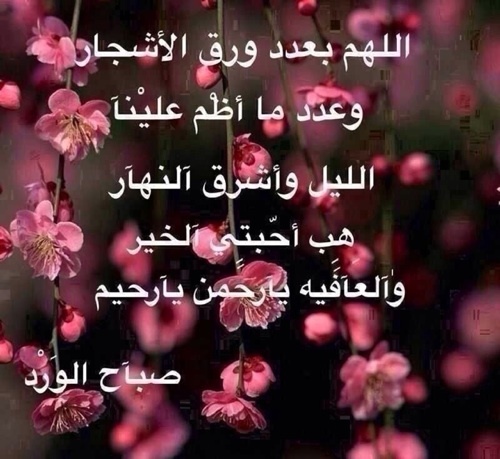 alopn1414's profile picture. 