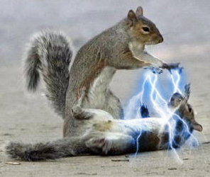 DRSadler's profile picture. 