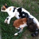 Sharon Kizer - @Seaglassbabe - Twitter