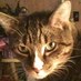 Debra Gierko (@gierk) Twitter profile photo Debra Gierko (@gierk) Twitter profile photo