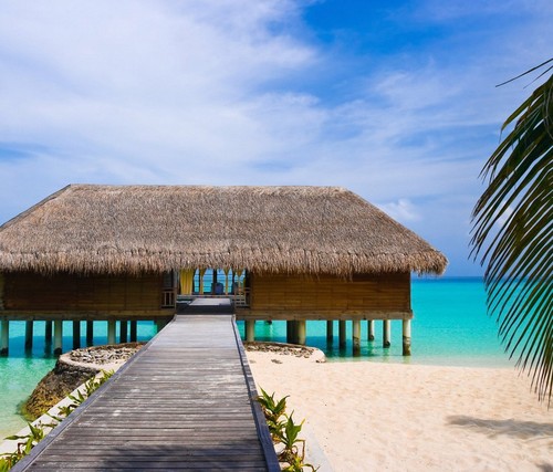 patrickhm32's profile picture. 