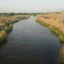 raad_raad3100's profile picture. 