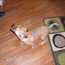 Marley Reibel - @MarleyAlexander - Twitter