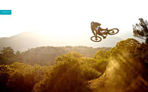 Yeti fan, all mountain, freeride and DH rider