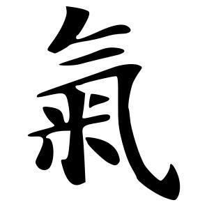 Shin Shin Toitsu Aikido, Aarhus.