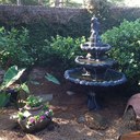 Amelia Mitchell - @awmitchell77 - Twitter