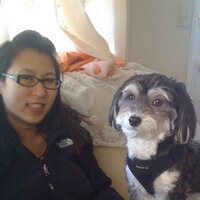 Annie Le (@leab17) 's Twitter Profile