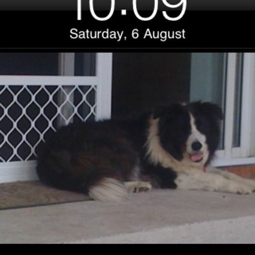 jimduncan62's profile picture. 