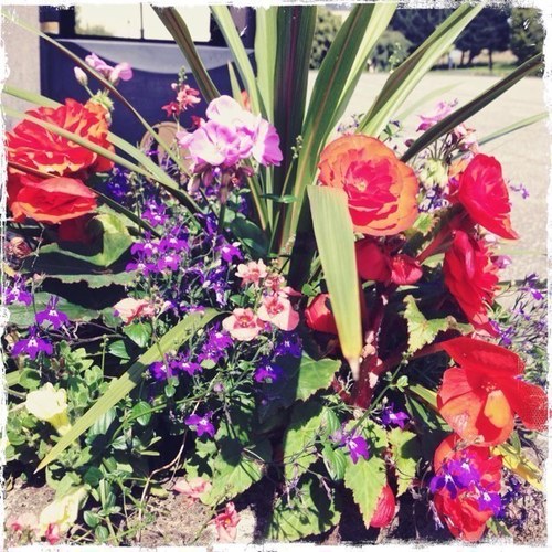 gjsweeney's profile picture. humanist, scot,european, lover of  french and spanish films