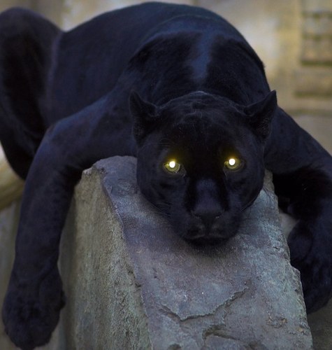 american74's profile picture. Bio = life , ,