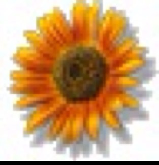 TSJHVA's profile picture. 