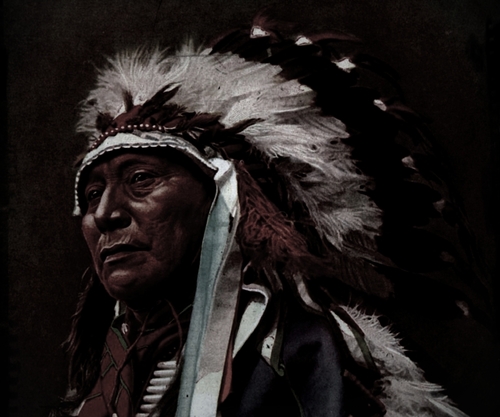 sexy_seki's profile picture. 