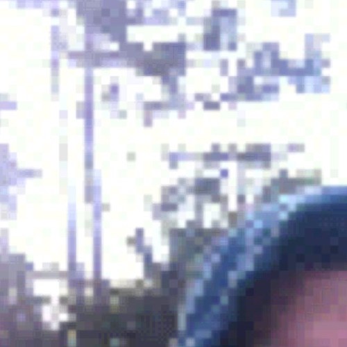 giovanse's profile picture. 