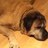 depalma91's profile image