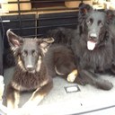 Iris Koch-Lintzen - @KochLintzen - Twitter