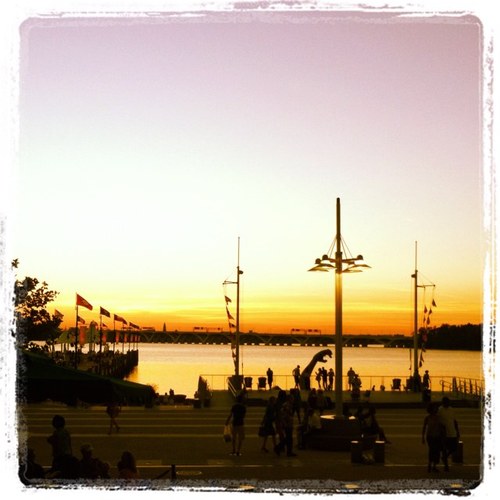 runnermid12's profile picture. 