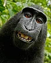 PatriciaSTJ's profile picture. 