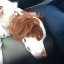 Peter Mosher - @MosherPeter - Twitter