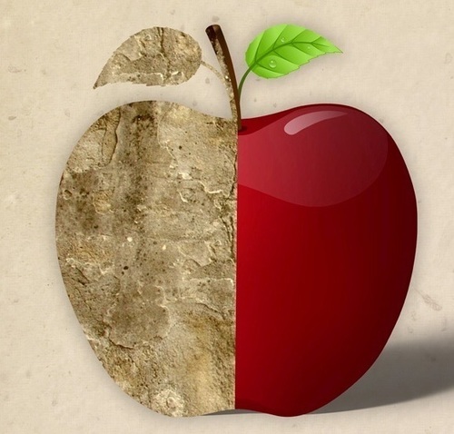 fittestsurvive's profile picture. A mini series of books crammed full of useful information to help you to survive -anything !  I always follow back.