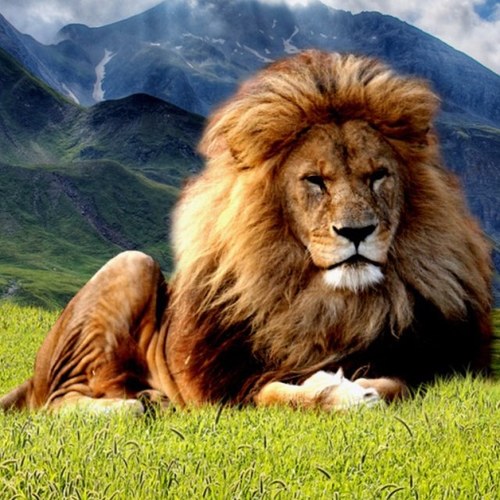 topshotta_imaz's profile picture. 