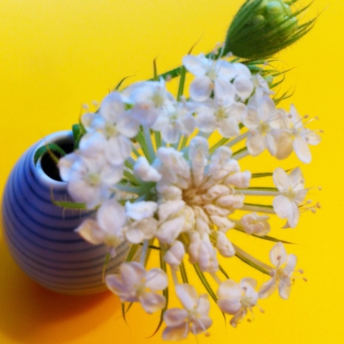 harumingoo's profile picture. 時々Tweet。割と見る専門です。